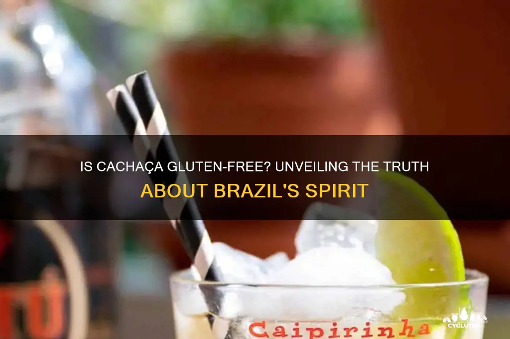 is cachaca gluten free