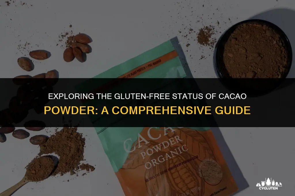 is cacoa powder gluten free