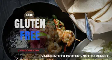 Are Cacti Gluten-Free? Exploring the Facts for a Healthy Diet