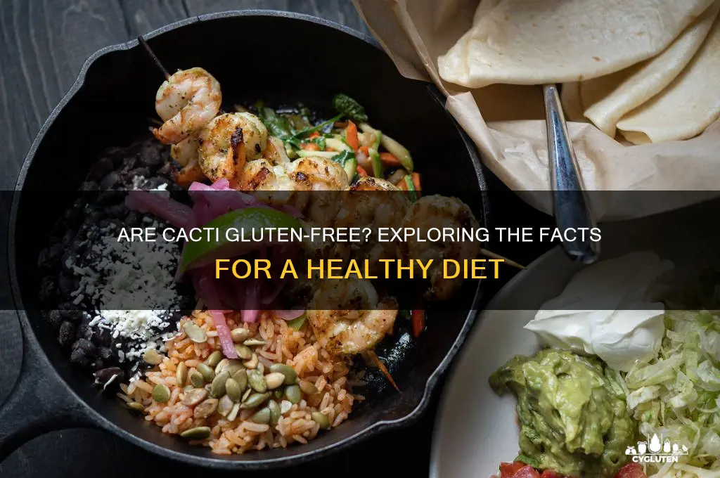 is cacti gluten free