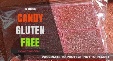 Delicious Cactus Candy: A Gluten-Free Treat for All to Enjoy