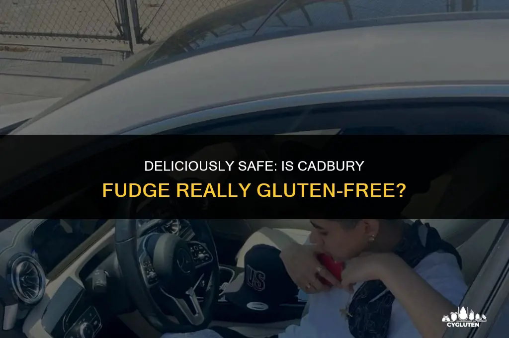 is cadbury fudge gluten free