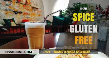 Exploring Cafe Spice: A Gluten-Free Haven or Not?