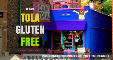 Exploring Cafe Tola: A Gluten-Free Haven or Not?