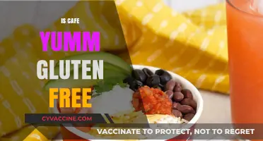 Exploring Cafe Yumm's Menu: A Gluten-Free Haven or Not?