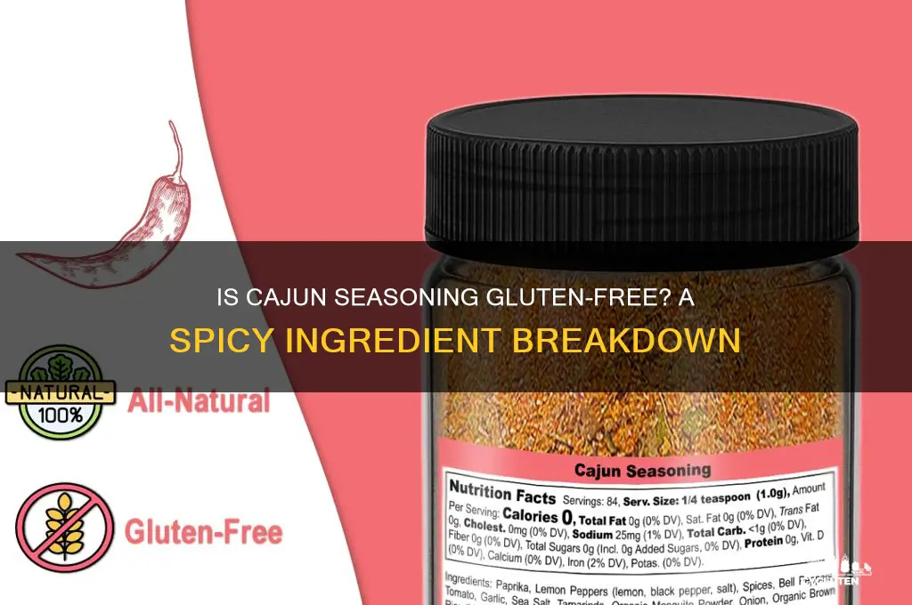 is cajun seasoning gluten free