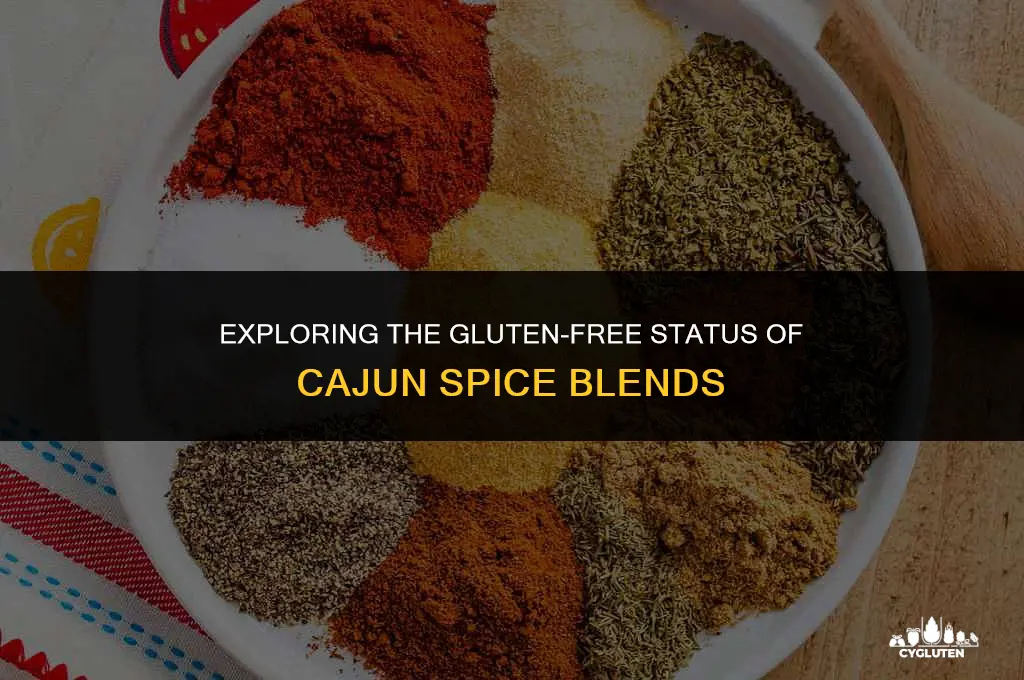 is cajun spice gluten free