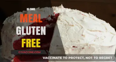 Deliciously Safe: Exploring Gluten-Free Cake Options for Your Diet