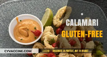 Is Calamari Gluten-Free? A Seafood Lover's Guide to Safe Eating