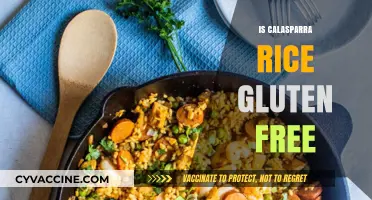 Exploring Calasparra Rice: A Gluten-Free Option for Your Diet