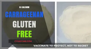 Exploring Calcium Carrageenan: A Gluten-Free Thickener Alternative
