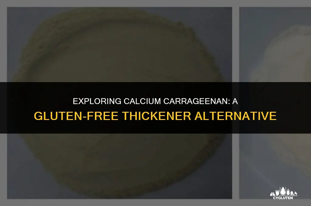 is calcium carrageenan gluten free