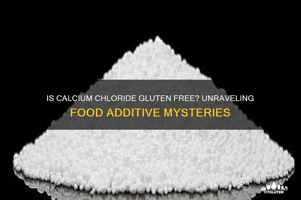 is calcium chloride gluten free