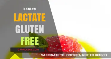 Exploring Calcium Lactate: A Gluten-Free Supplement for Bone Health