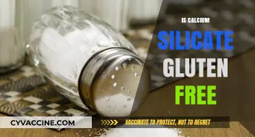 Exploring Calcium Silicate: A Gluten-Free Alternative in Food Products