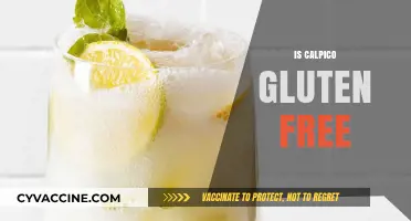 Is Calpico Gluten-Free? A Complete Guide for Dietary Needs