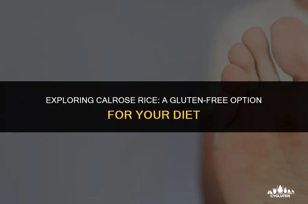 is calrose rice gluten free