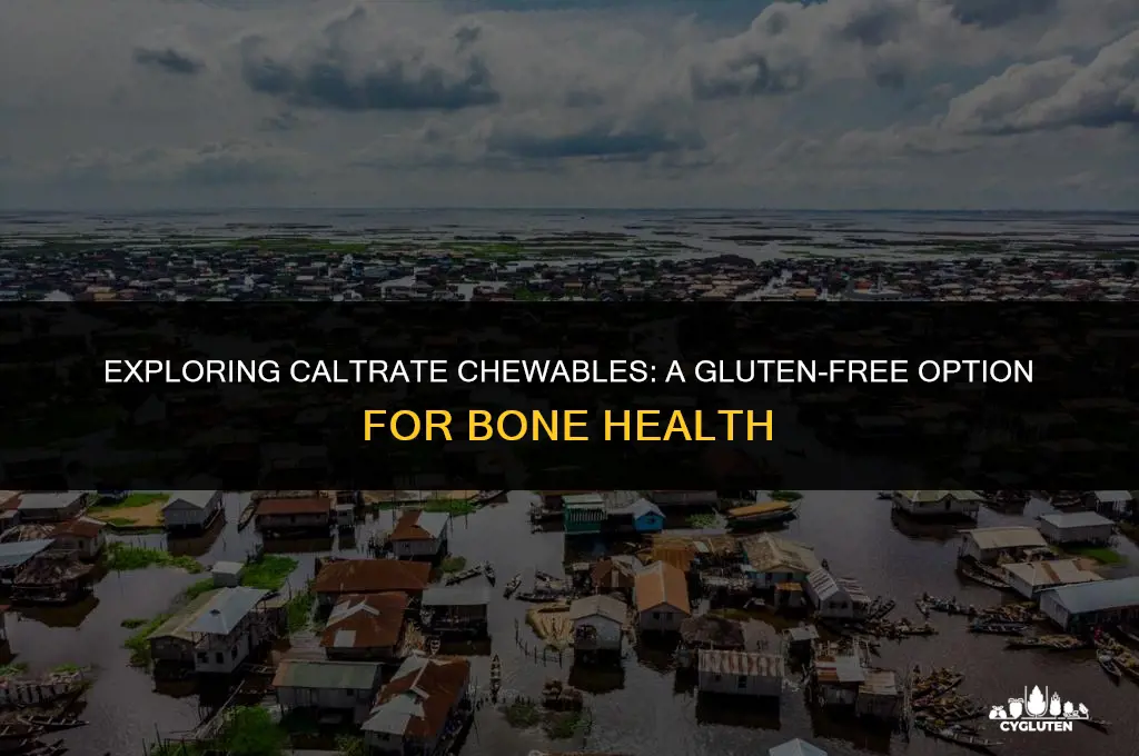 is caltrate chewables gluten free