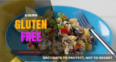 Is Calypso Gluten Free? A Comprehensive Guide to Ingredients and Safety