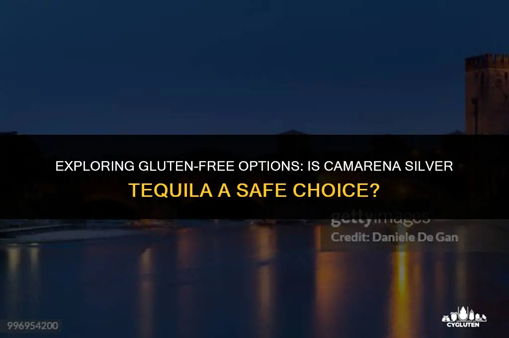is camarena silver gluten free