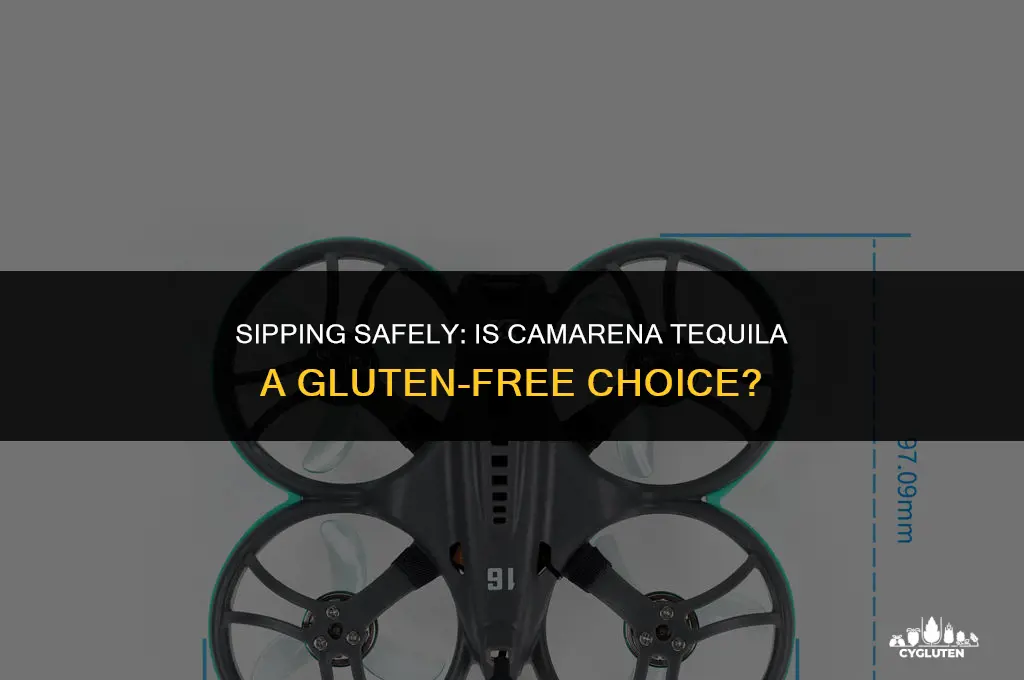 is camarena tequila gluten free