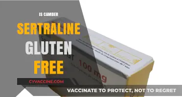 Exploring Medication Options: Is Camber Sertraline Gluten-Free?
