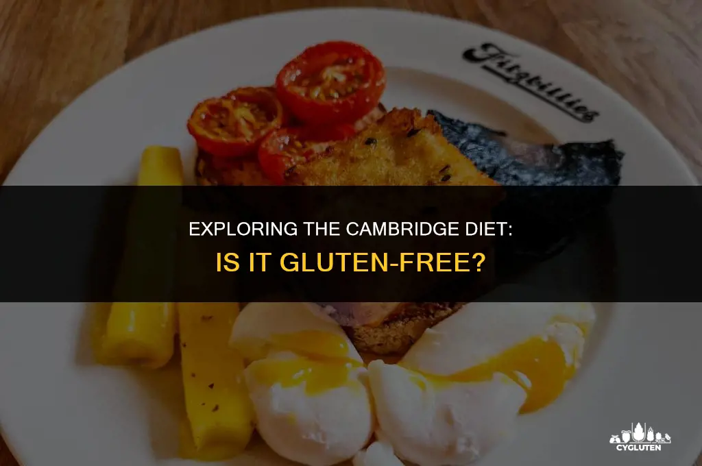 is cambridge diet gluten free