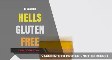 Exploring Camden Hells: A Gluten-Free Beer Option?