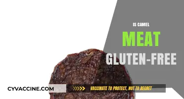 Exploring Dietary Options: Is Camel Meat Gluten-Free?