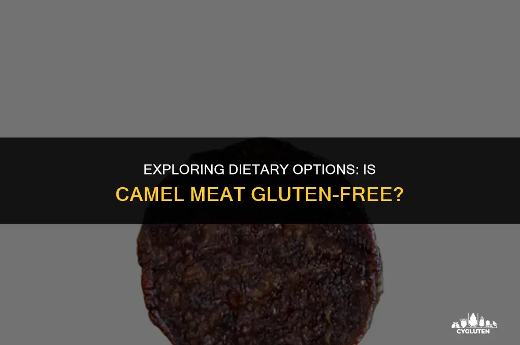 is camel meat gluten-free