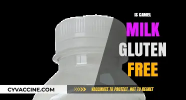 Exploring the Nutritional Benefits of Camel Milk: A Gluten-Free Alternative?