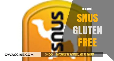 Exploring Camel Snus: A Gluten-Free Alternative for Tobacco Users