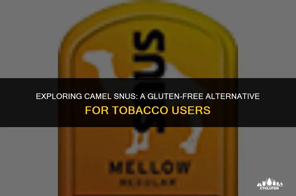 is camel snus gluten free