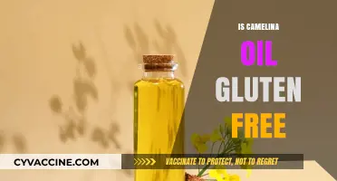 Exploring Camelina Oil: A Gluten-Free Alternative for Health-Conscious Diets