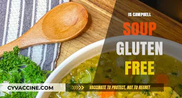 Savoring Comfort: A Guide to Gluten-Free Campbell Soup Options