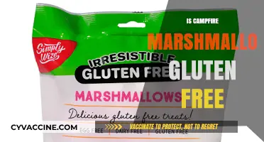 Cozy Campfire Treats: Are Marshmallows Gluten-Free?