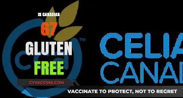 Exploring Gluten-Free Options: Is Canadian 67 Safe for Celiacs?
