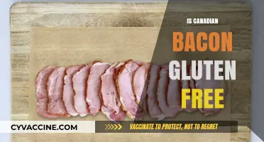Is Canadian Bacon Gluten-Free? A Complete Guide for Celiac Diets
