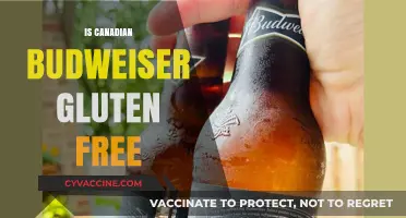 Exploring Canadian Budweiser: A Gluten-Free Beer Option?