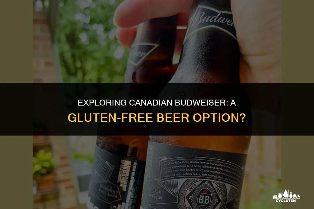 is canadian budweiser gluten free