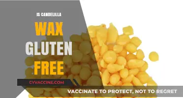Exploring the Gluten-Free Status of Candelilla Wax: Facts and Uses