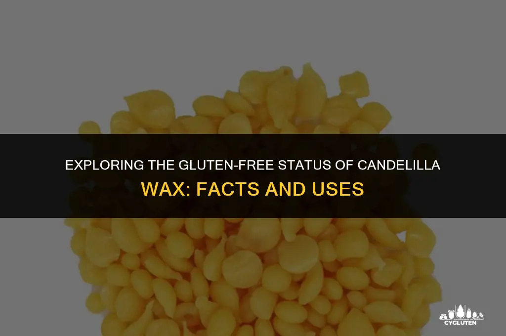is candelilla wax gluten free