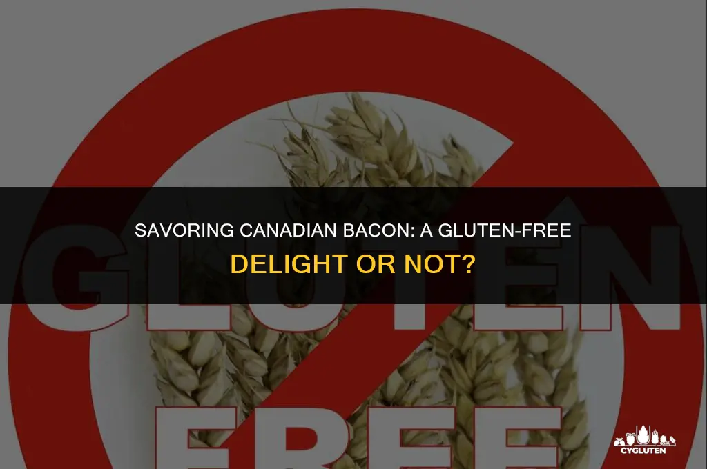 is candian bacon gluten free