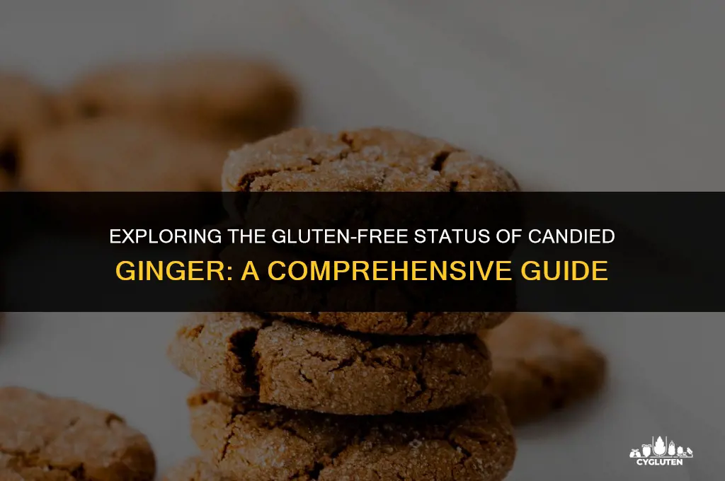 is candied ginger gluten free