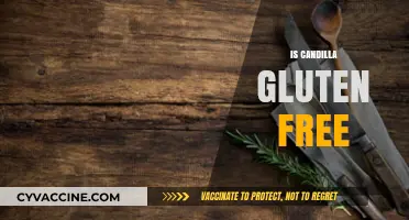 Is Candilla Gluten Free? A Comprehensive Guide to Its Ingredients