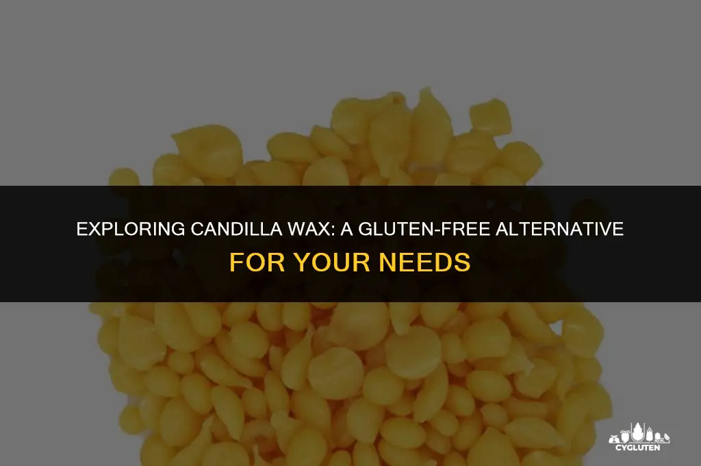 is candilla wax gluten free