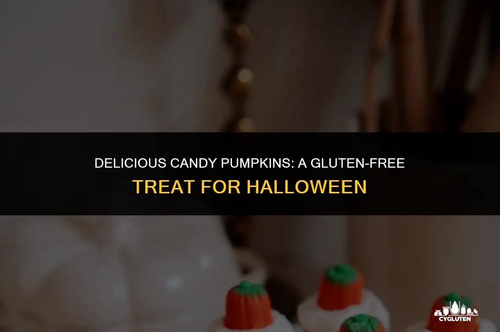 is candy pumpkins gluten free