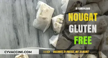Delving into Candyland: Is Nougat a Gluten-Free Delight?