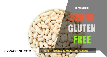 Exploring Gluten-Free Diets: Are Cannellini Beans a Safe Choice?
