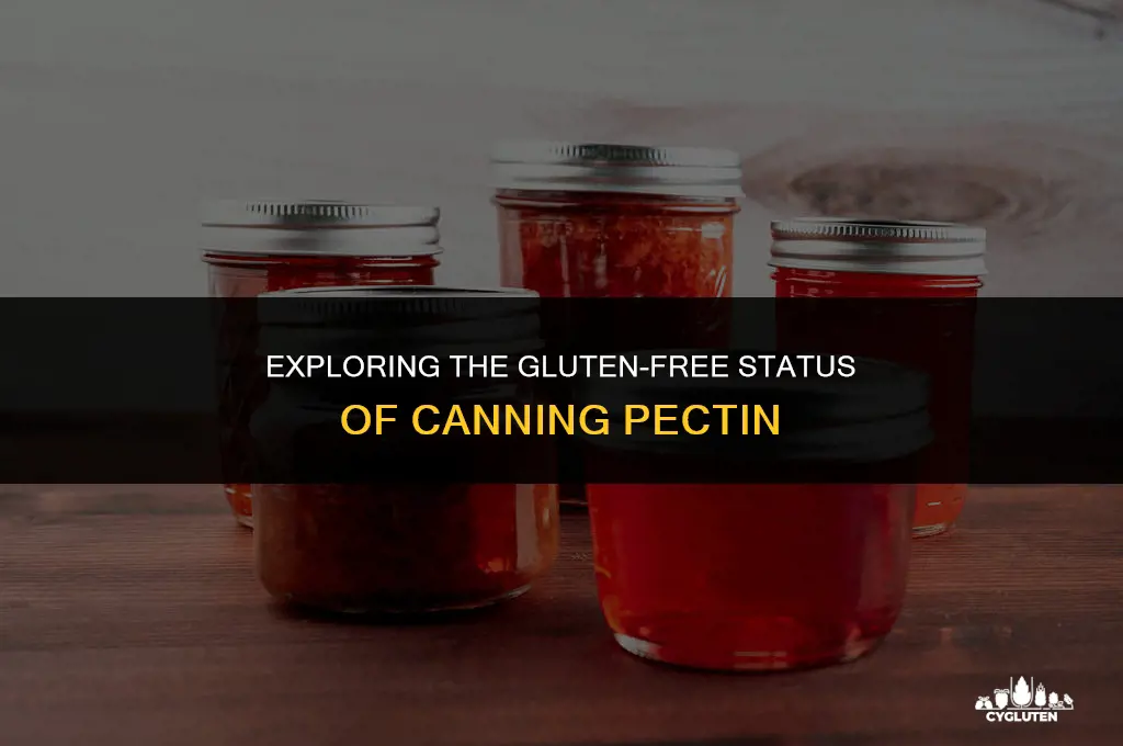 is canning pectin gluten free